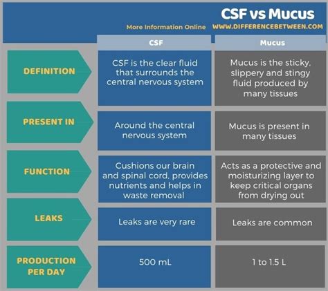 What is the Difference Between CSF and Mucus